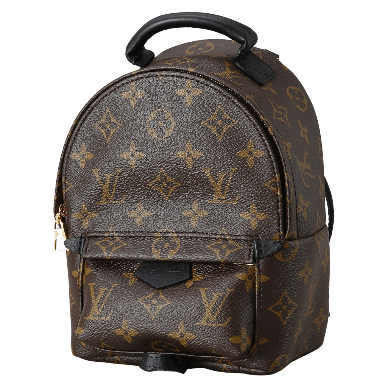 LOUIS VUITTON(USED)루이비통 팜스프링 미니 백팩